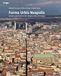 Forma urbis Neapolis. Genesi e permanenza del disegno della città greca