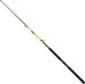 Shimano Fishing Beastmaster Cx Standup Spiral Trollinghengel Zilver 1.65 m / 50 Lbs