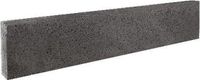 Gardenlux 3 stuks! Oud hollands gew. antra 7h20x100 cm