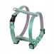 Nobby Classic Preno Mini XXS/S Halsband Mint 10mm/30-40cm