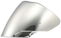 LS2 OF618 Iridium Zilver Helder vizier