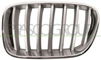 PRASCO Kühlergitter BM8042014 links | Compatibel met: BMW X3
