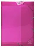 Exacompta 59774E opbergbox Iderama, polypropyleen, glanzend, met elastieken (rugbreedte 4 cm), met label, A4, roze