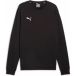 Puma Sweatshirt teamGoal Casuals