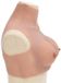 VidaXL Borstprothese b-cup silicone naturel
