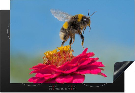 KitchenYeah® Inductie beschermer 77x51 cm - Hommel zwevend boven een roze Zinnia plant - Inductie kookplaat accessoire