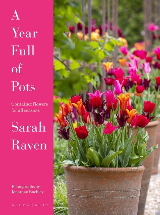 A Bloomsbury Publishing Plc A Year Full of Pots: Container Flowers for All Seasons