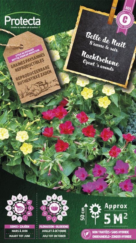 Protecta Bloemen zaden Nachtschone gemengd - 4 gram - 5m²