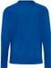 Hummel Kinder-shirt met lange mouwen Hmlcore 2.0 Jersey L/S Kids 230840