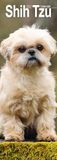 Shih CAROUSEL CALENDARS 2027 Shih Tzu Slim Hardcover