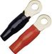 Sinuslive Car-Hifi ringkabelschoen Set van 2 stuks 50 mm² 8 mm