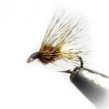 Baetis Baetis Mouche Anneau Sautant Noyé