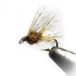 Baetis Baetis Mouche Anneau Sautant Noyé