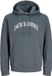 JACK & JONES PLUS - JJEDENVER LOGO SWEAT HOOD SN PLS Homme Pull