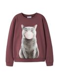 NAME IT Sweatshirt 'NKFVOTEA' bruin / lichtbruin / bessen / rosé