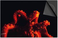Dietrix Inductie beschermer 65x52 - Under the Sea - Octopus Rood