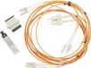 TREND Networks MGKSX1 – 1000BASE LWL-SX – Kit fibre SX avec émetteur-récepteur SFP 850 nm