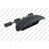 PRASCO Türgriff PG0098101 hinten rechts | Compatibel met: PEUGEOT 206 CC, 206 Schrägheck, 206 Stufenheck, 206 SW