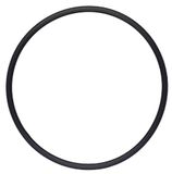 O-ring