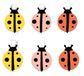 Rayher Houten klemmen lieveheersbeestje, kleurrijk, 2,8x4,5cm, SB-Btl. 6 stuks, 46637999