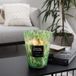Panterprint XL geurkaars in luxe houder