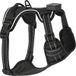 MAX & MILA'S WORLD Harnais pour chien avec bande LED (XL)