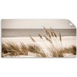 Poster Autocollant Plage Mer Dunes Paysage Bohème 80x40