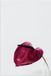 Merkloos / Sans marque Poster - Rood- Paars Gekleurd Blad - 40x60 cm - Mat Papier