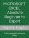 MICROSOFT EXCEL Absolute Beginner to Expert: The Complete Professional Guide