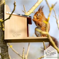 Wildlife Home Eekhoorn Voederhuis met Metalen Dak - 29x11x25cm
