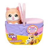 Little Live Pets Mama Surprise Chatons