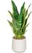 Unyqoos® Plante artificielle décorative Sansevieria dans un pot en céramique élégant pour chaque pièce