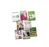 Pigna schrijfblok & schrift A4 42 vel Meerkleurig