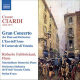 Fabbriciani/Fraas - Flute Concerto/Solo Flute Works