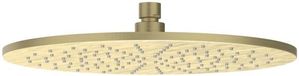 IVY Hoofddouche Medium 30 cm - RVS316 Geborsteld Mat Goud