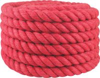 vidaXL Jute Touw 50 mm Rood 100% Tossa Jute