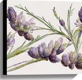 Merkloos / Sans marque Take your time Canvas - Aquaruel Verf Tekening van Lavendel Bloemen - 40x40 cm Foto op Canvas Schilderij (Wanddecoratie op Canvas)