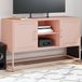 Maison Exclusive - meuble TV, rose, 100,5 x 39 x 60,5 cm, acier
