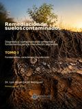Remediación de suelos contaminados. Tomo I: Diagnóstico, comportamiento ambiental y fundamentos para la intervención sostenible