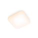 Philips Hue Philips Mauve Plafondlamp Wit 2700K 12W