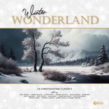 Winter Second Records Various Artists - Winter Wonderland: 14 Christmastime Classics (LP) (Coloured Vinyl)