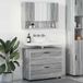 Prolenta Maison Exclusive - Ensemble de meubles de salle de bain, 2 pièces, imitation bois Sonoma gris, dimensions : 76,5 x 35 x 64 cm