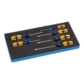 Wera Screwdriver Set - 6 Piece - 1/3 Tool Module