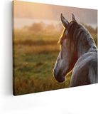 Artaza Canvas Schilderij Paard In De Weide Tijdens Zonsondergang - 50x40 - Canvas Print