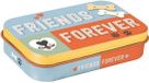 Nostalgic Art Merchandising Friends Forever Tinnen Opbergdoosje