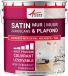 Arcadeco Peinture murale satinée professionnelle – Gris clair - RAL 7035