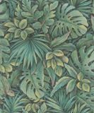 Botanica - Jungle Behang - Bladeren - Vliesbehang - Groen - 0,53 x 10,05 M.