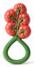 Oli&Carol Tomato Rattle bijtring