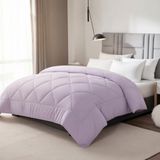 Arvion 4-seizoenendekbed 200x200 cm - Synthetisch microvezel - Lila