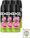 Axe Déodorant Spray Epic Fresh 150 ml - 6 Pièces